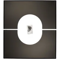 00000020124