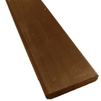 00000024091