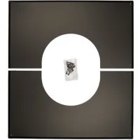 00000020125