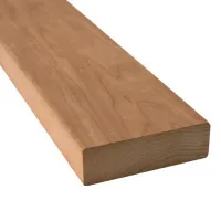 00000001689